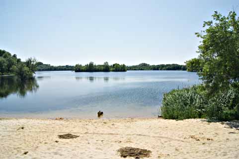 Ditfurter See2