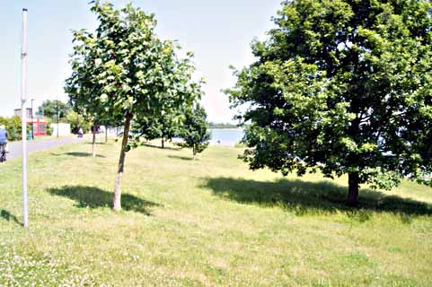 Badestrand Goitsche3